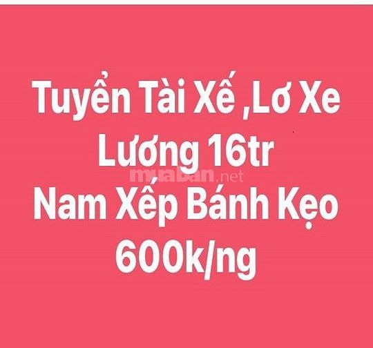 VĨNH LONG ==> Tuyển dụng 20 Tài xế + 20 Lơ xe và Phụ kho lương 500k ng 62363780 VĨNH LONG ==> Tuyển dụng 20 Tài xế + 20 Lơ xe và Phụ kho lương 500k ng